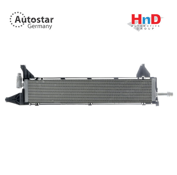 AUTOSTAR GERMANY AUXILIARY RADIATOR WITH FRAME WATER COOLER C CLASS,E CLASS W205 W213 W238 W257 W253 0995001401 WF