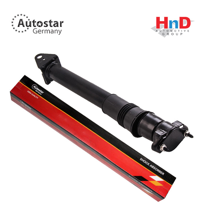 Autostar Germany Shock absorber Rear Axle For MERCEDES-BENZ R-Class (W251, V251) 2513203131