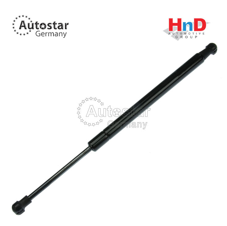 BMW DICKY SHOCK E90 51247060623