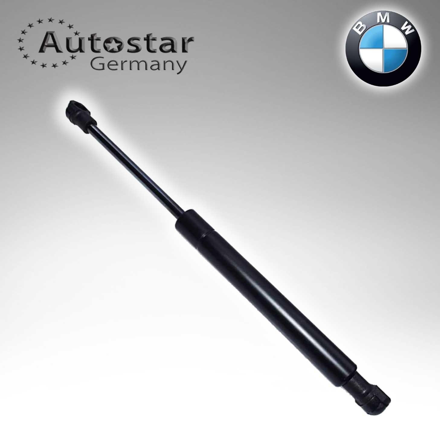 Bmw X5 Serisi E53 Kaput Amortisörü 2000 - 2006 51238402551 Bmw X5 Serisi E53 Kaput Amortisörü 2000 - 2006 51238402551