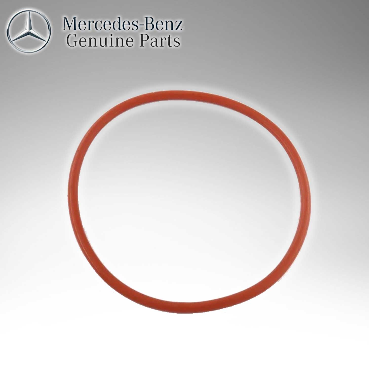 Mercedes Benz Genuine O-Ring 0259971845