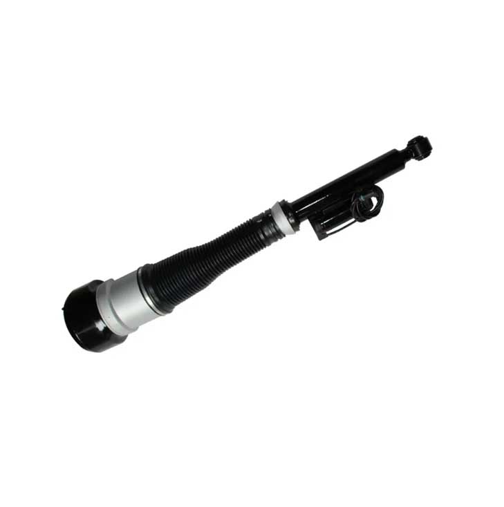 Mercedes Benz Genuine Suspension Strut   2213205613